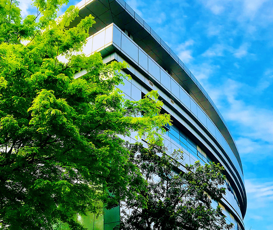 3133cc拉斯维加斯·(中国游)官方网站